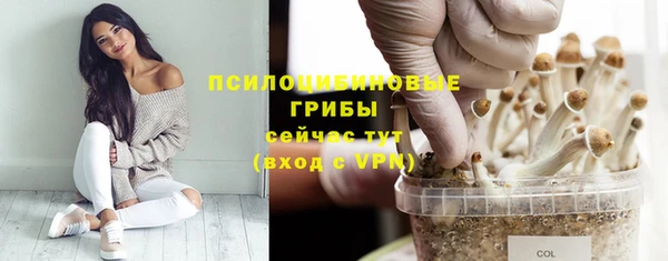 соль ск Надым