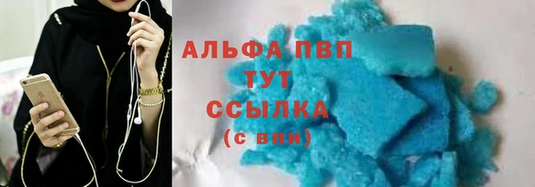 соль ск Надым
