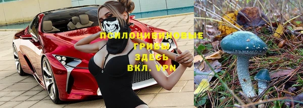 соль ск Надым