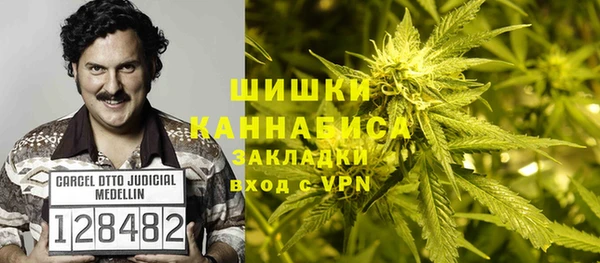ГАЛЛЮЦИНОГЕННЫЕ ГРИБЫ Навашино