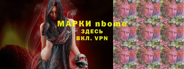 соль ск Надым