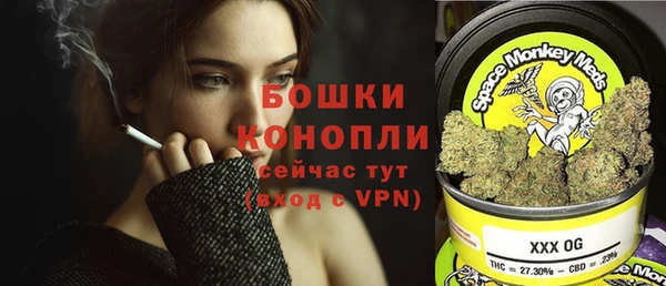соль ск Надым