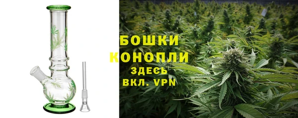 соль ск Надым