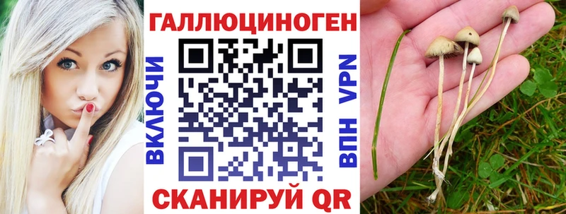 Галлюциногенные грибы прущие грибы  MEGA tor  Ивдель 